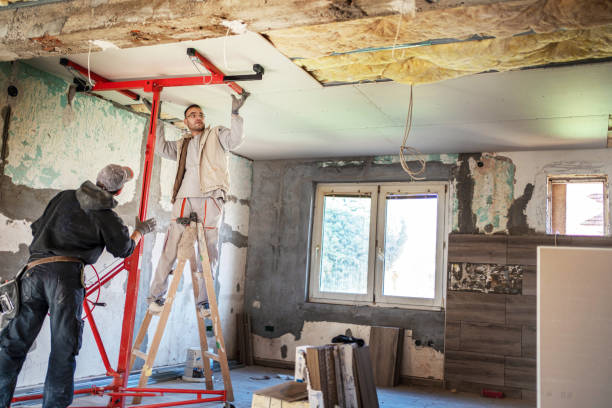 Best Blown-in Insulation  in Oriole Beach, FL